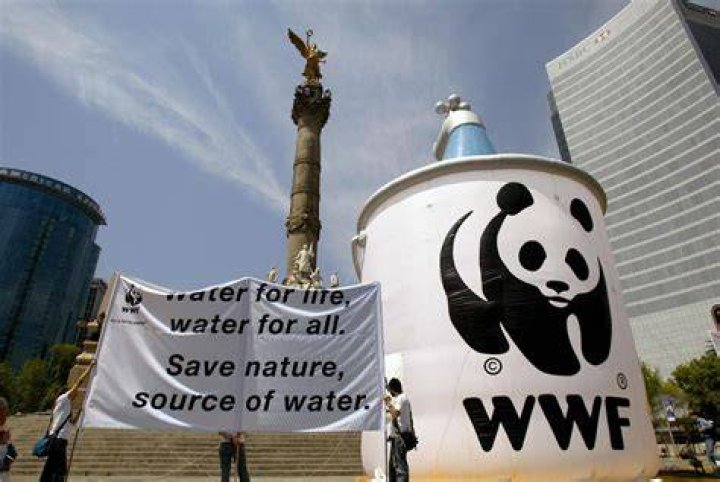 The World Wildlife Fund