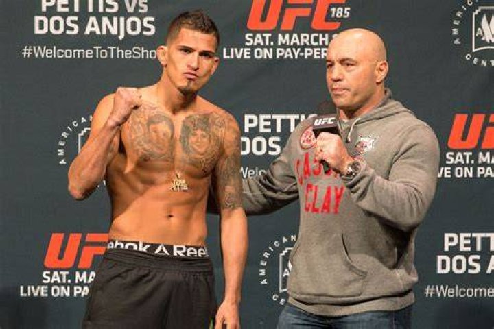 Things MMA Fans Should Know About Anthony 