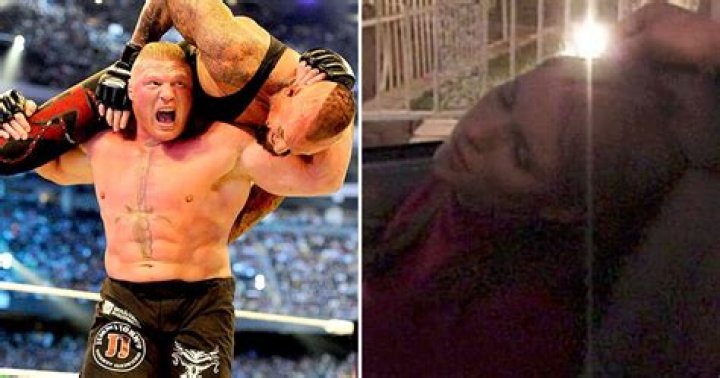 Things WWE Wants You To Forget About Brock Lesnar