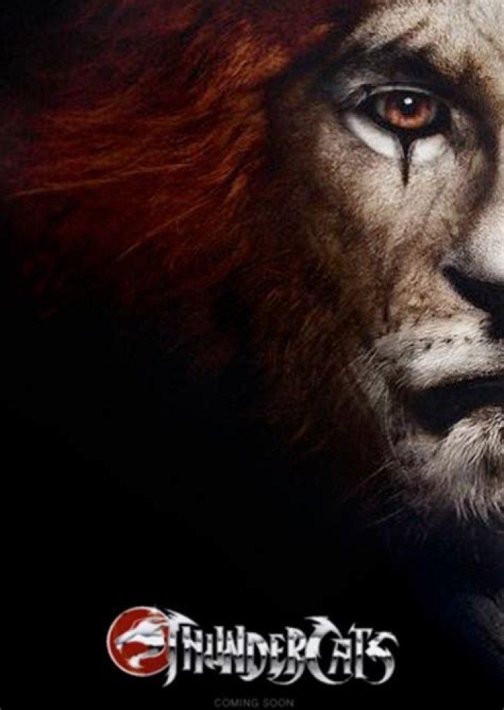 Thundercats Live Action Fan Casting on myCast