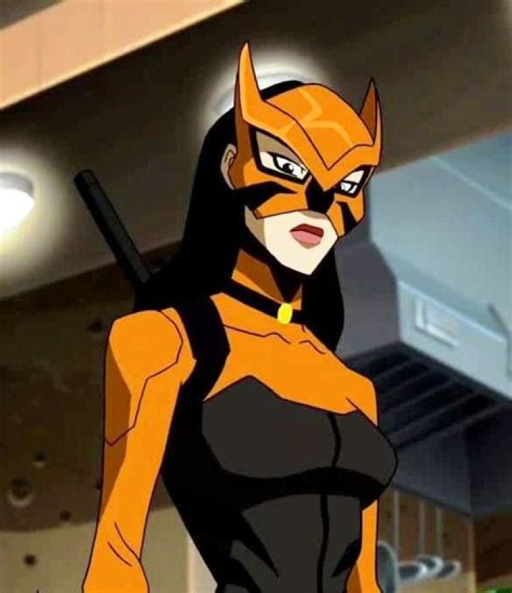 Tigress dc comics Google Search Young justice, Artemis crock