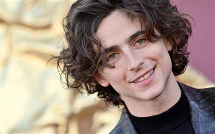 Timoth&eacute;e Chalamet as Christian in The Idhun Chronicles