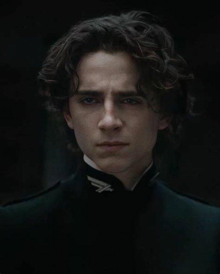 Timoth&eacute;e Chalamet as Regulus Black in The Marauders