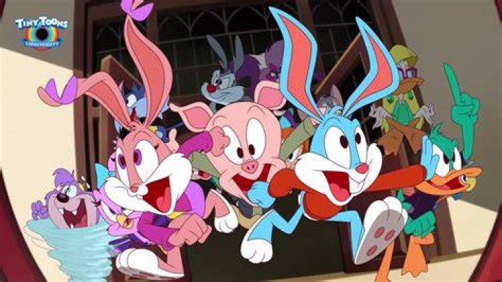 Tiny Toons Looniversity