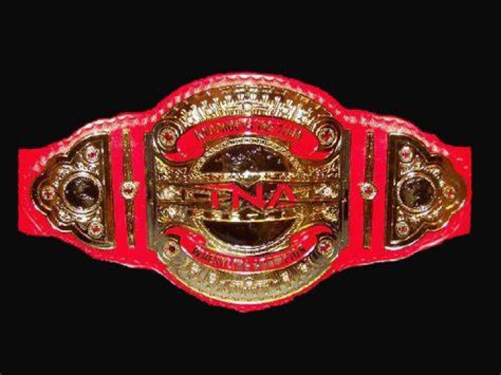TNA Knockouts Tag Champs Awesome Kong and Hamada