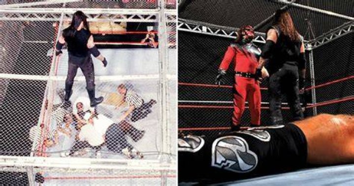 Top 15 Craziest Wrestling Moments Inside A Steel Cage