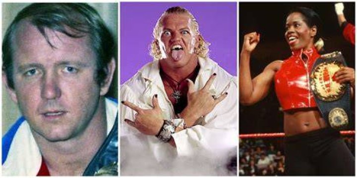 Top 15 Wrestlers You Didn't Realize Were Related