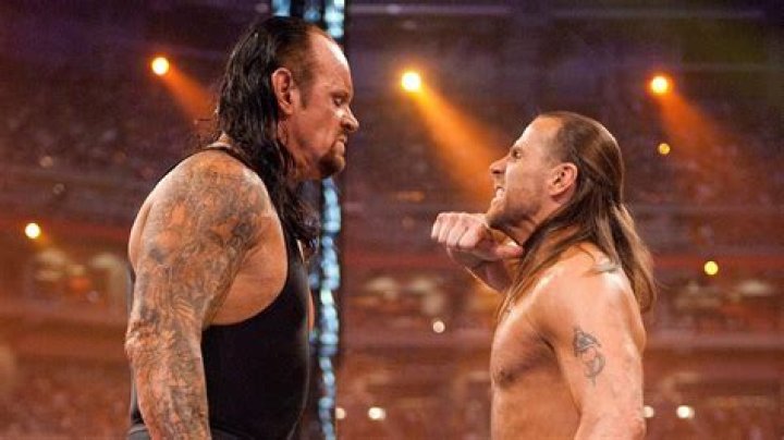 Triple H Undertaker Shawn Michaels