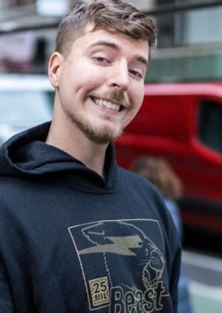Ty Fan Casting for Mrbeast: The Movie | myCast