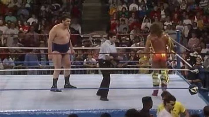 Ultimate Warrior Andre The Giant
