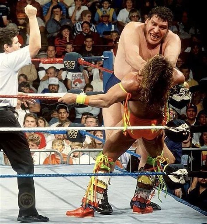 Ultimate warrior vs Andre The Giant