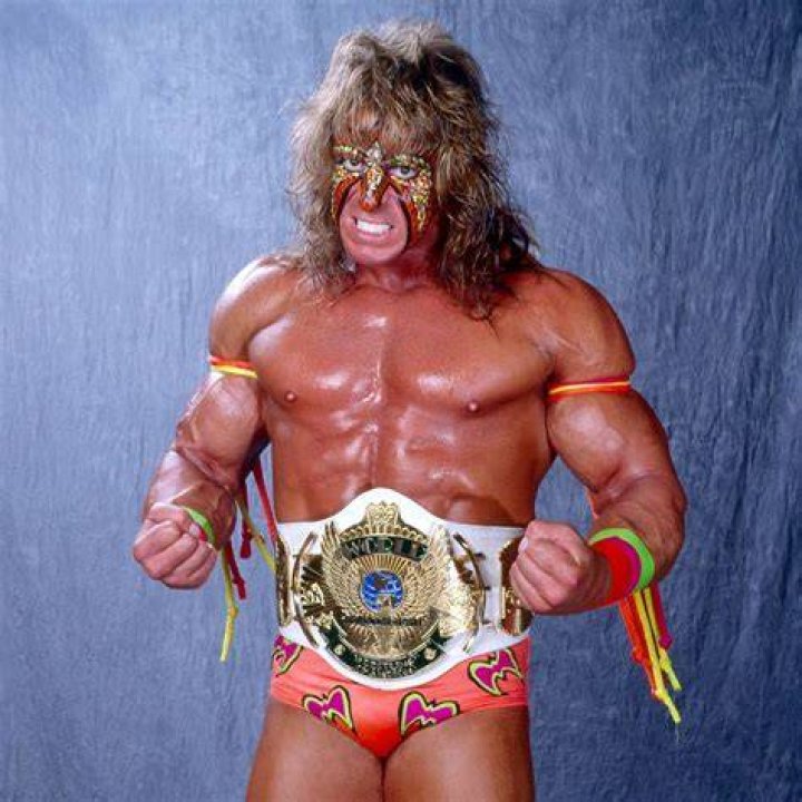 Ultimate Warrior WWE Championship