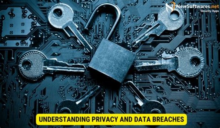 Understanding Livvy Leaks: The Impact Of Privacy Breaches In The Digital Age