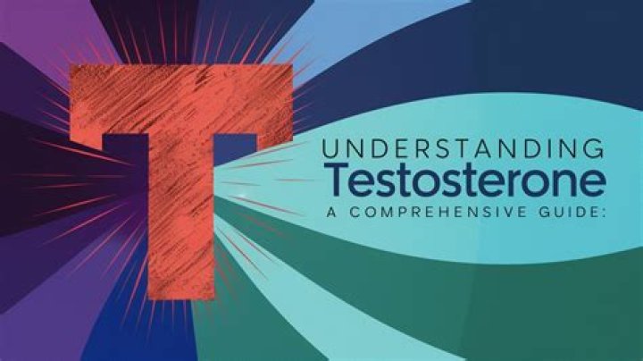 Understanding Omnist Meaning: A Comprehensive Guide