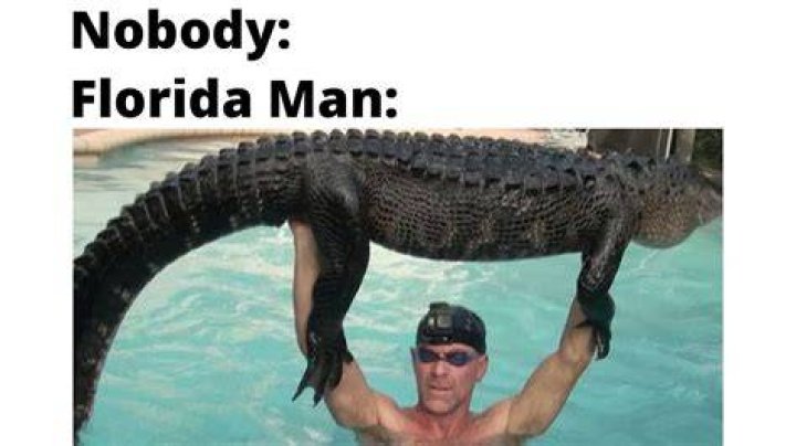Understanding The Florida Meme Phenomenon: A Deep Dive