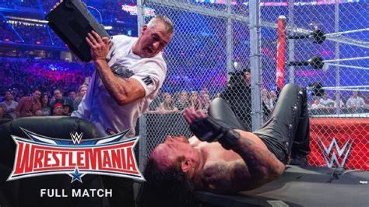 Undertaker vs Shane McMahon WrestleMania 32