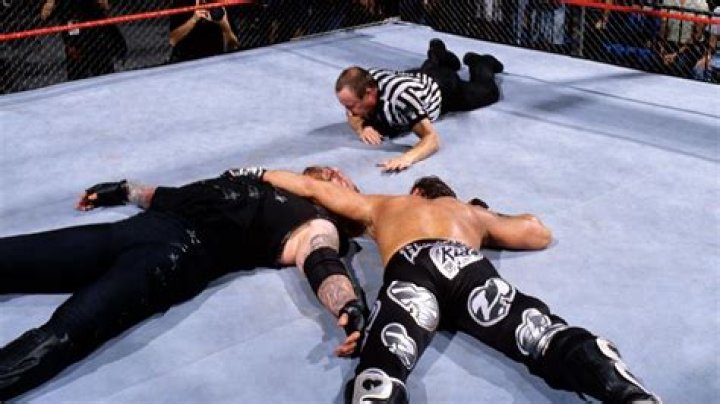 Undertaker vs Shawn Michaels Hell in a Cell