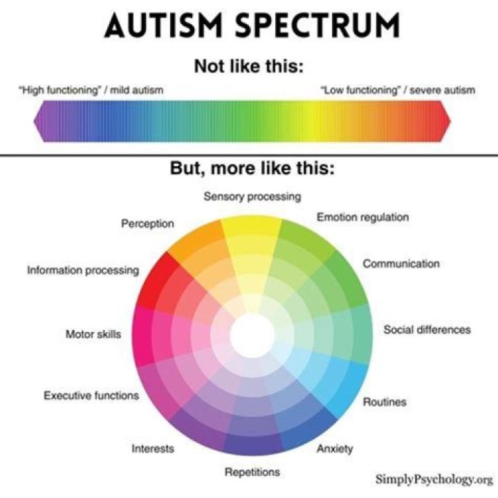 Unveiling The Enigma: Exploring The Autism Spectrum And Elizabeth Holmes