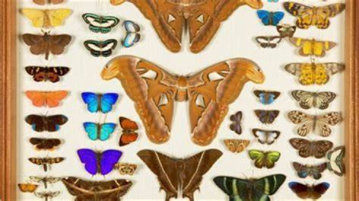 Unveiling The Multifaceted World Of Laura Wynn: Discoveries And Insights