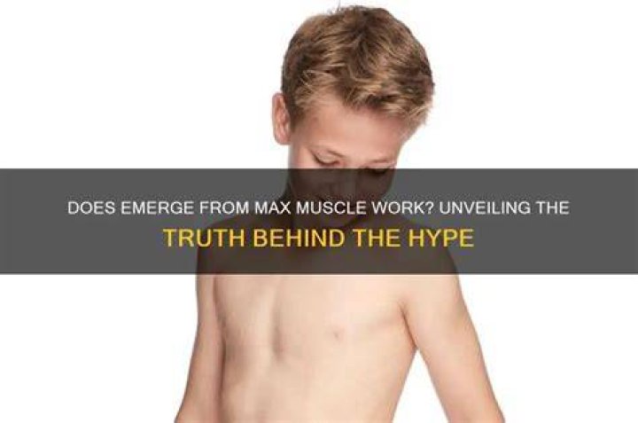 Unveiling The Truth Is Max Amini Married?
