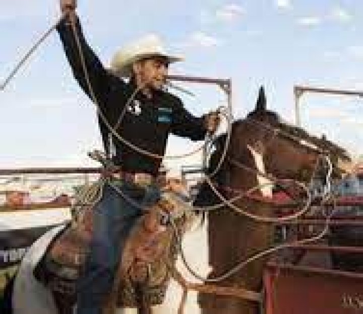 Watch: Rodeo Under Fire After Drone Reveals Animal Cruelty in Chicago