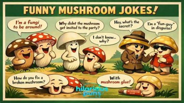 Why Did The Fungi Mushroom Cross The Road? A Hilarious Journey Into Mushroom Humor