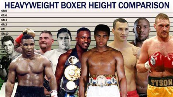 Why Do Heavyweight Boxers Have the Longest Careers?