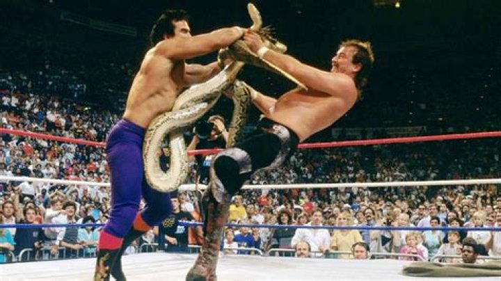 William Regal Vs Ricky Steamboat