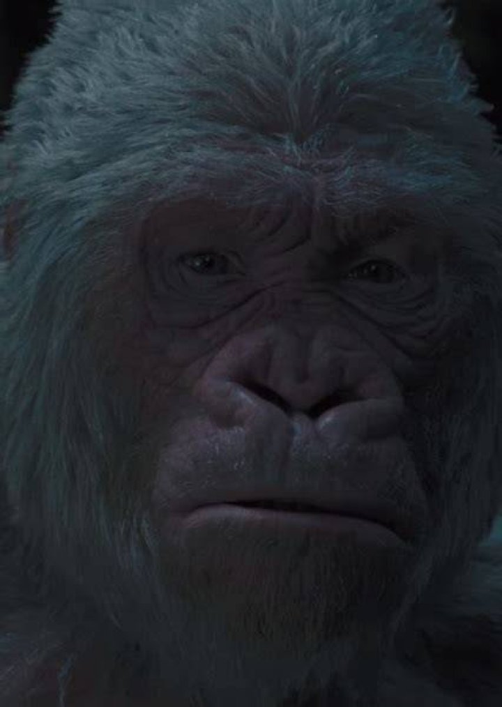 Winter (Planet of the Apes) Fan Casting