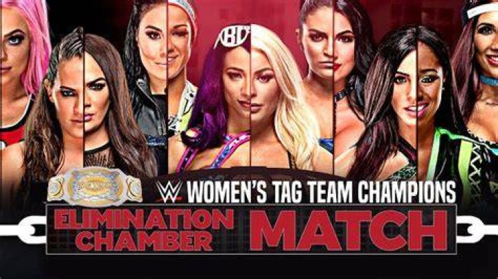 Womens Tag Team Championship Elimination Chamber
