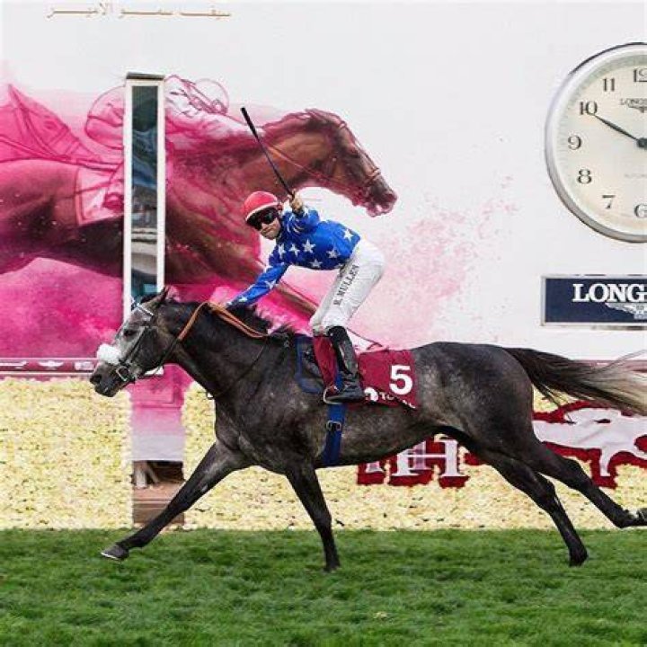Worth Over $40,000,000 Top Jockey Says ‘Apart From That I’m Okay’ After
Super-Gnarly Fall in Prestigious Equestrian Event