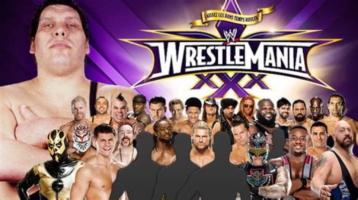 WrestleMania 30 battle royal 
