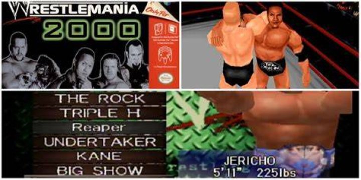 WWF WrestleMania 2000 Jeff and Matt Hardy