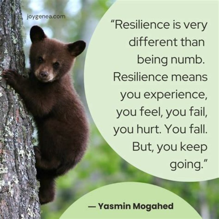 Yasmin Mogahed Quote &ldquo;Resilience is very different than being numb