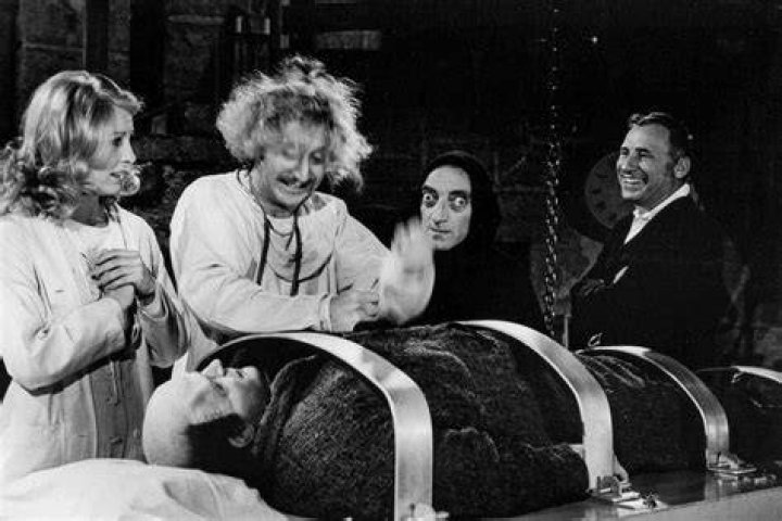 Young Frankenstein (1994)